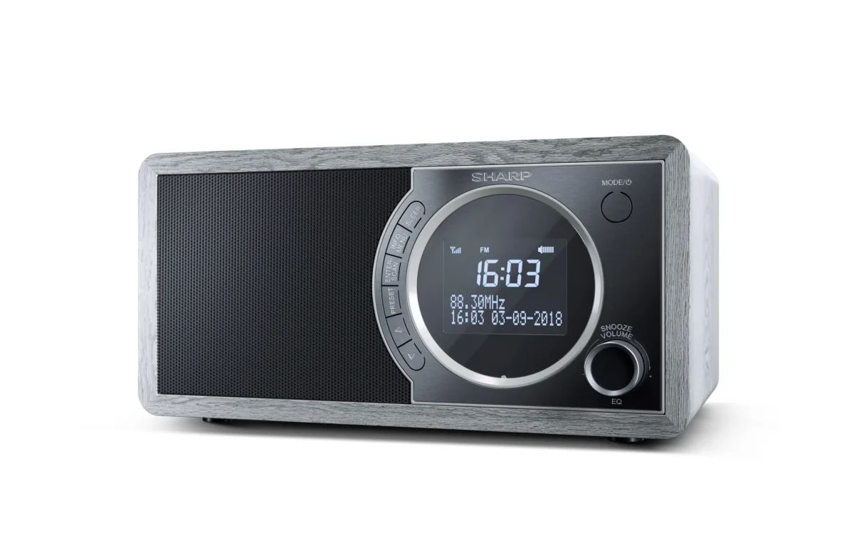 SHARP DIGITAL RADIO GRAY DR450GR - Image 3