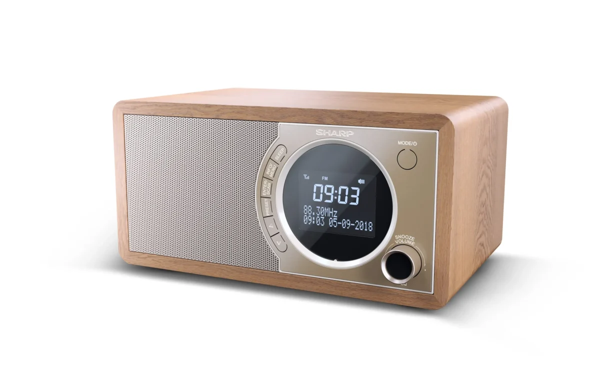 62ce3a76-dc88-11ea-a361-d63dd28ea6d9-scaled SHARP DIGITAL RADIO BROWN DR450BR - Image 3