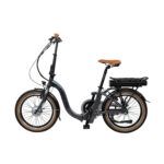 BLAUPUNKT E-BIKE FRANZI500 - Image 2