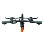 BLAUPUNKT E-BIKE FIENE500 - Image 3