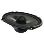 PHOENIX GOLD HXEIA Z69CX 6X9" - Image 3