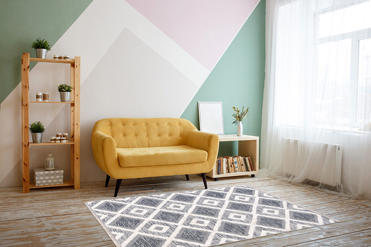 Nice living room with couch, carpet, green plant on a bookcase. ΧΑΛΙ NOMAD 22324/04 ΣΤΟΚ Π.Χ. - 194X290  NewPlan - Image 5