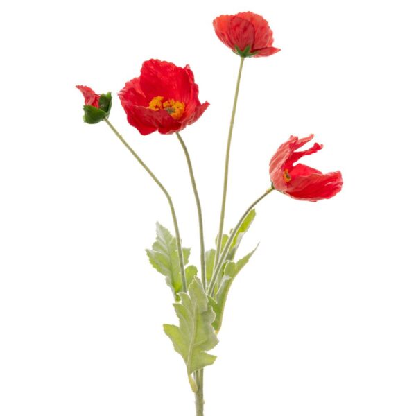 ΚΟΚΚΙΝΗ ΠΑΠΑΡΟΥΝΑ 63ΕΚ ΚΛΑΔΙ Χ4