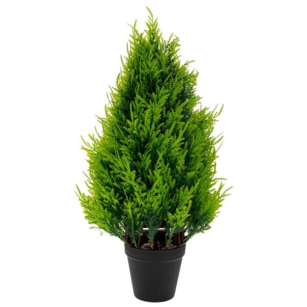 ΓΛΑΣΤΡΑ ΜΕ ΔΕΝΔΡΟ 25Χ489ΕΚ ΣΕ ΜΑΥΡΟ ΓΛΑΣΤΡΑΚΙ ΠΛΑΣΤΙΚΟ