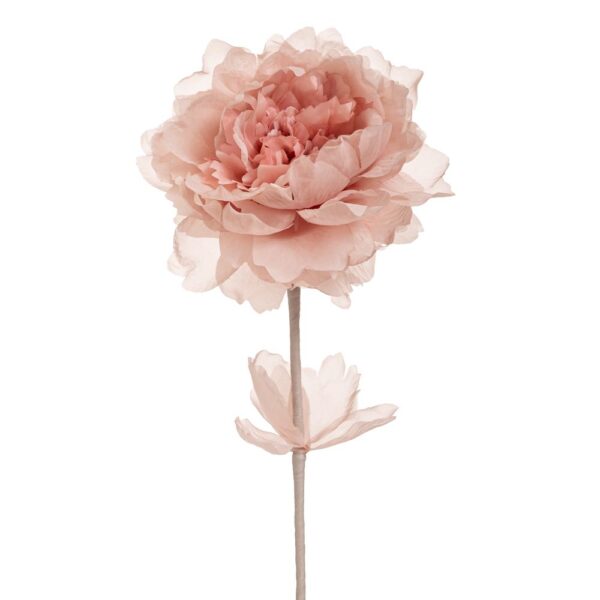 ΣΑΠΙΟ ΜΗΛΟ ΚΛΑΔΙ ΠΑΙΩΝΙΑ 63ΕΚ