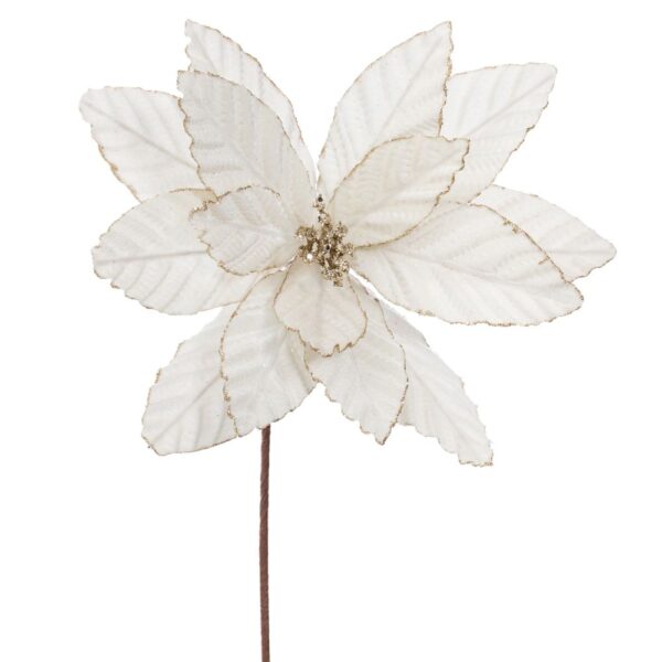 ΙΒΟΥΑΡ ΒΕΛΟΥΔΙΝΟ ΑΛΕΞΑΝΔΡΙΝΟ 60ΕΚ