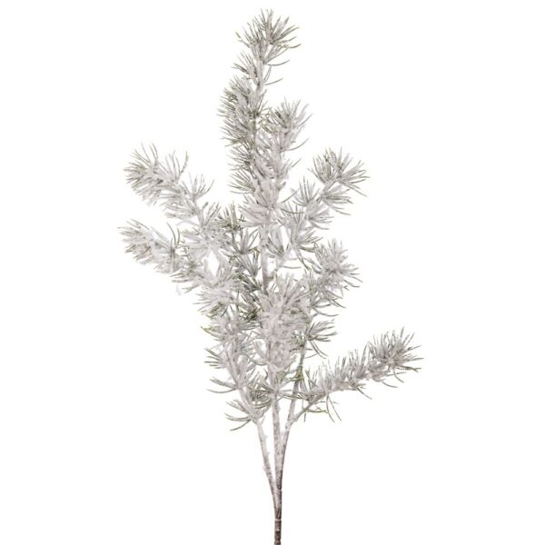 ΧΙΟΝΙΣΜΕΝΟ ΚΛΑΔΙ ΕΛΑΤΟ 70ΕΚ