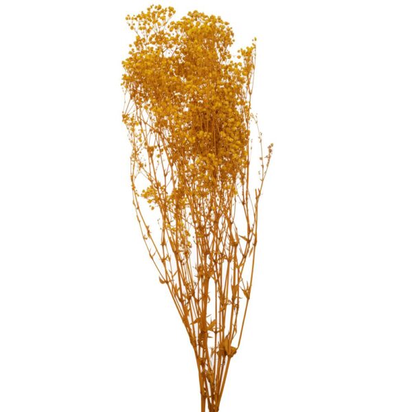 ΚΙΤΡΙΝΟ ΜΠΟΥΚΕΤΟ ΓΥΨΟΦΙΛΛΗ 120gr