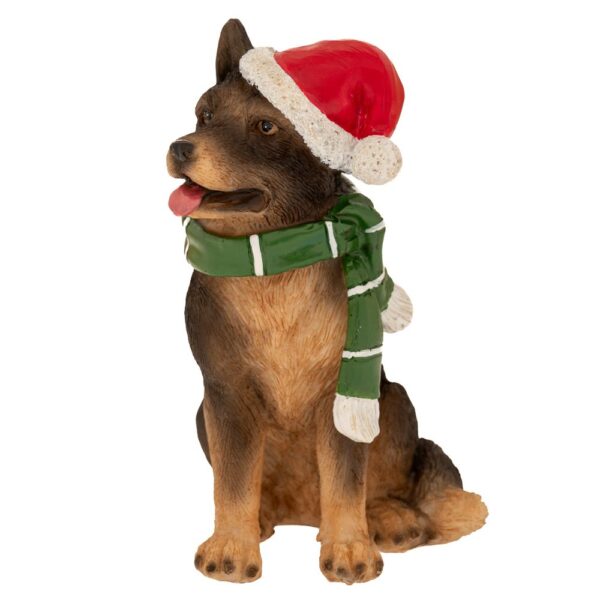 ΚΑΦΕ ΚΑΘΙΣΤΟΣ ΣΚΥΛΟΣ ΜΕ ΚΟΚΚΙΝΟ ΣΚΟΥΦΟ 9