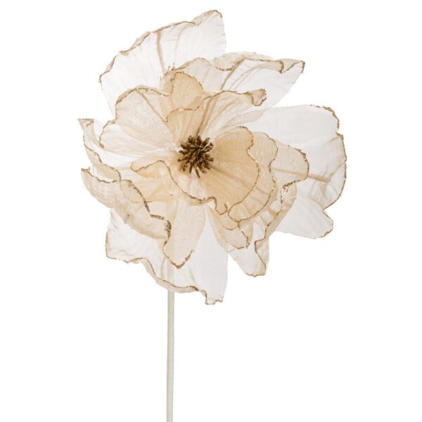 ΣΑΜΠΑΝΙ ΟΡΓΑΝΖΑ ΜΑΝΩΛΙΑ ΚΛΑΔΙ 60ΕΚ