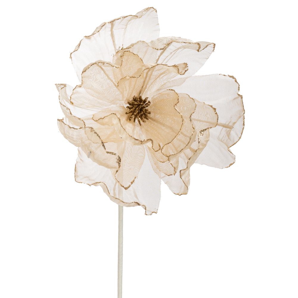 ΣΑΜΠΑΝΙ ΟΡΓΑΝΖΑ ΜΑΝΩΛΙΑ ΚΛΑΔΙ 60ΕΚ ΣΑΜΠΑΝΙ ΟΡΓΑΝΖΑ ΜΑΝΩΛΙΑ ΚΛΑΔΙ 60ΕΚ