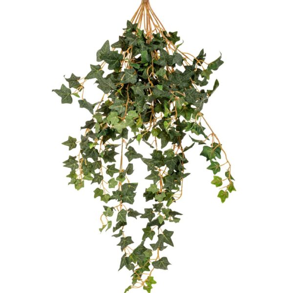 ΚΙΣΣΟΣ COATED ΚΡΕΜΑΣΤΗ ΠΡΑΣΙΝΑΔΑ 70ΕΚ ΜΕ ΜΙΚΡΑ ΦΥΛΛΑ