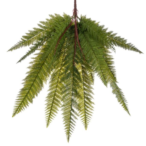 ΡΙΖΑ ΦΤΕΡΗ 80ΕΚ ΠΡΑΣΙΝΗ