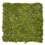 MOSS 50Χ50ΕΚ ΜΕ UV ΠΡΟΣΤΑΣΙΑ ΚΑΙ FIRE PROTECTION (ΒΡΑΔΥΚΑΥΣΤΟ) ΠΡΑΣΙΝΟ ΔΙΧΡΩΜΟ ΑΝΟΙΚ