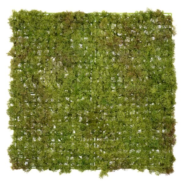 MOSS 50Χ50ΕΚ ΜΕ UV ΠΡΟΣΤΑΣΙΑ ΚΑΙ FIRE PROTECTION (ΒΡΑΔΥΚΑΥΣΤΟ) ΠΡΑΣΙΝΟ ΔΙΧΡΩΜΟ ΑΝΟΙΚ