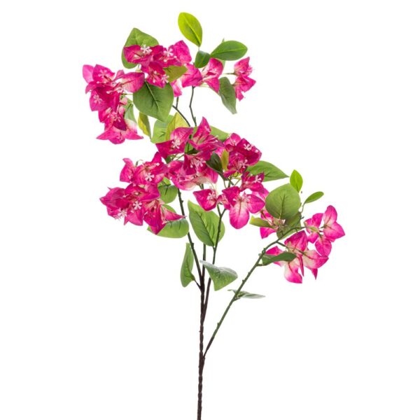 ΜΠΟΥΚΑΜΒΙΛΙΑ ΚΛΑΔΙ Χ4 97ΕΚ ΜΕ UV ΠΡΟΣΤΑΣΙΑ