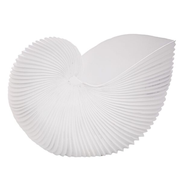 ΛΕΥΚΟ ΠΟΛΥΡΕΖΙΝ ΔΙΑΚΟΣΜΗΤΙΚΟ ΚΟΧΥΛΙ 41Χ24Χ27