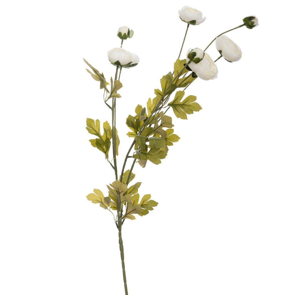 ΚΛΑΔΙ ΝΕΡΑΓΚΟΥΛΑ ΛΕΥΚΗ 86ΕΚ Χ5 ΚΛΑΔΙ ΝΕΡΑΓΚΟΥΛΑ ΛΕΥΚΗ 86ΕΚ Χ5