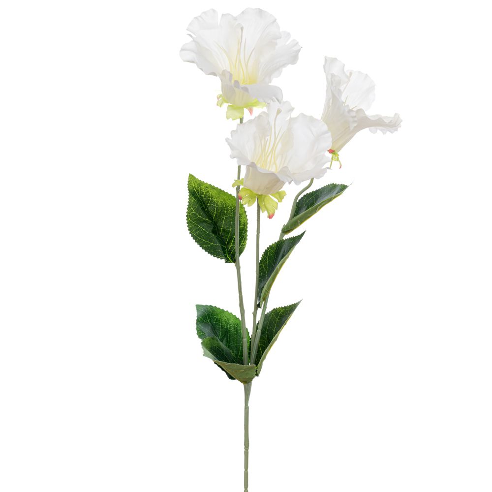 ΚΛΑΔΙ ΧΩΝΑΚΙ ΛΕΥΚΟ 80ΕΚ Χ3 ΚΛΑΔΙ ΧΩΝΑΚΙ ΛΕΥΚΟ 80ΕΚ Χ3