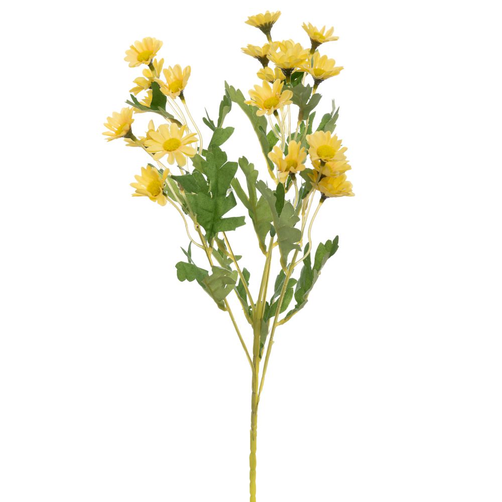 ΚΛΑΔΙ ΜΑΡΓΑΡΙΤΕΣ ΚΙΤΡΙΝΕΣ 55ΕΚ Χ5 ΚΛΑΔΙ ΜΑΡΓΑΡΙΤΕΣ ΚΙΤΡΙΝΕΣ 55ΕΚ Χ5