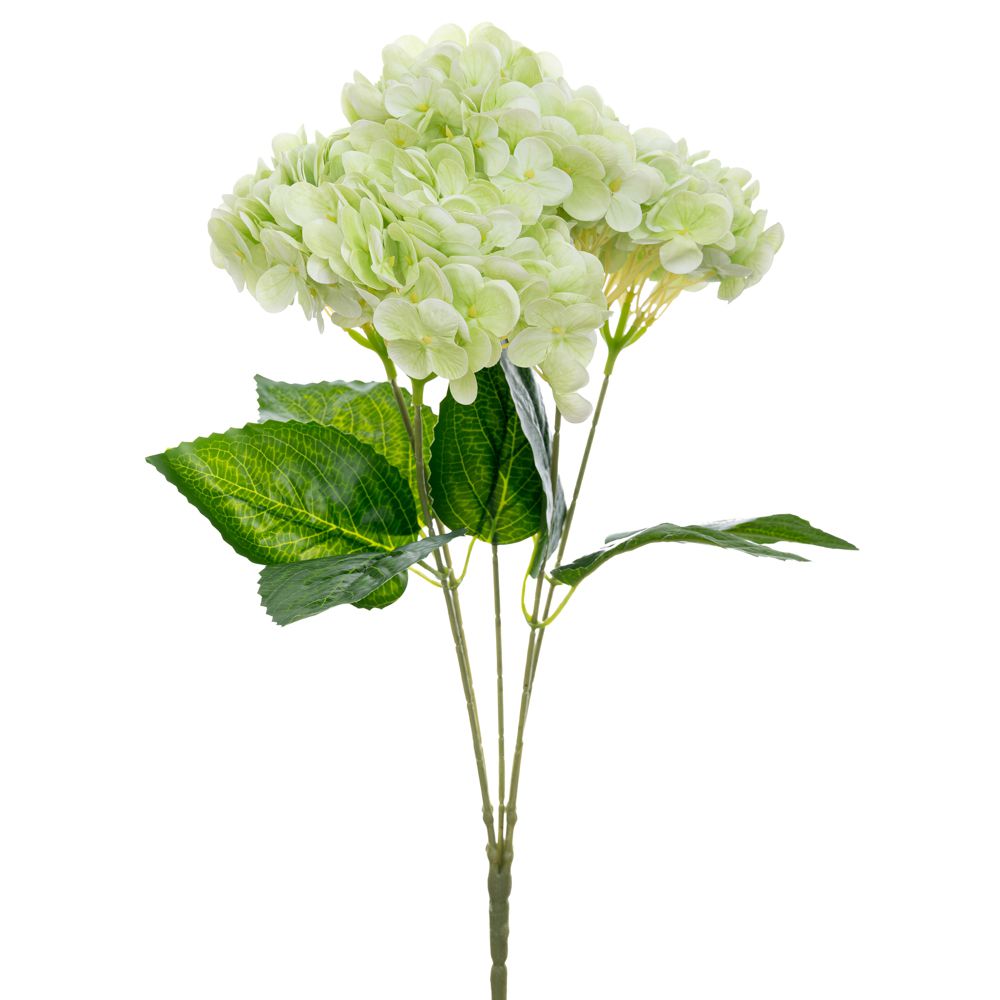 ΜΠΟΥΚΕΤΟ ΟΡΤΑΝΣΙΑ ΠΡΑΣΙΝΗ 47ΕΚ Χ5 REAL TOUCH ΜΠΟΥΚΕΤΟ ΟΡΤΑΝΣΙΑ ΠΡΑΣΙΝΗ 47ΕΚ Χ5 REAL TOUCH