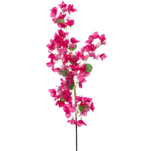 ΚΛΑΔΙ ΒΟΥΚΑΜΒΙΛΙΑ ΦΟΥΞΙΑ 114ΕΚ