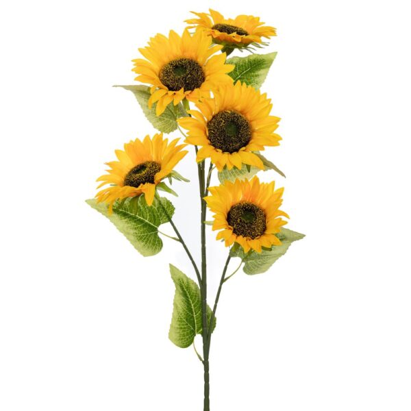 ΚΛΑΔΙ ΗΛΙΟΣ 102ΕΚ Χ5