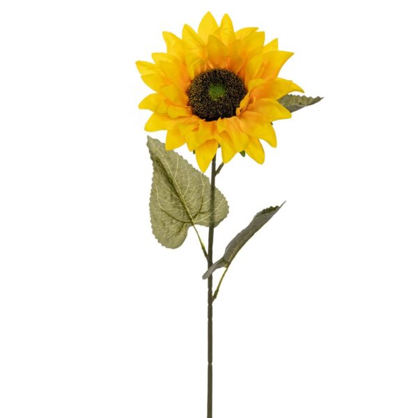 ΗΛΙΟΣ ΚΛΑΔΙ 72ΕΚ Χ1