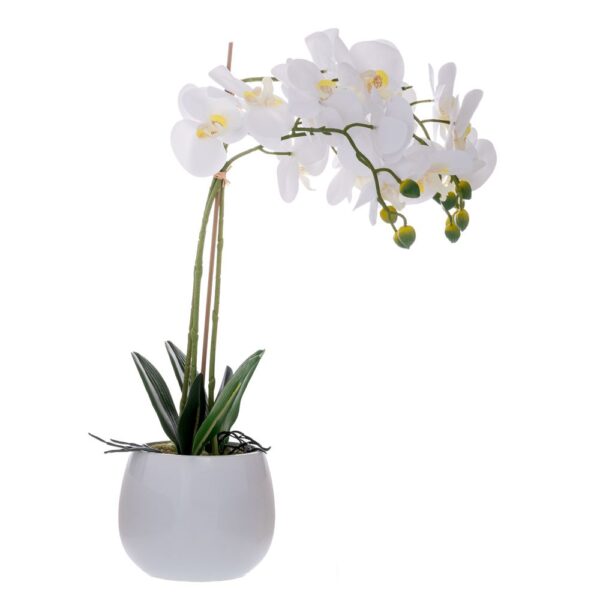 ΛΕΥΚΗ ΟΡΧΙΔΕΑ PHALAENOPSIS ΣΕ ΛΕΥΚΟ ΚΕΡΑΜΙΚΟ ΚΑΣΠΩ 60ΕΚ