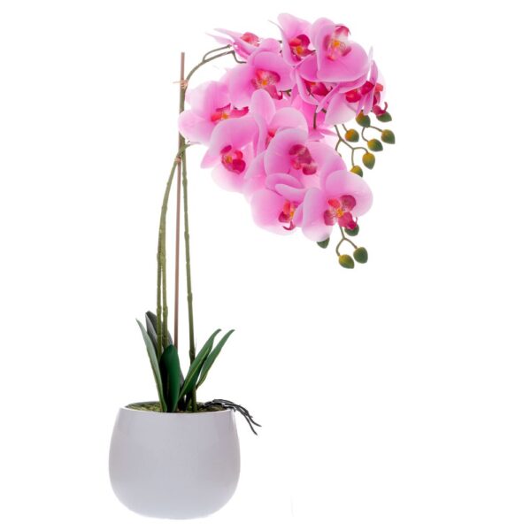 ΡΟΖ ΟΡΧΙΔΕΑ PHALAENOPSIS ΣΕ ΛΕΥΚΟ ΚΕΡΑΜΙΚΟ ΚΑΣΠΩ 60ΕΚ