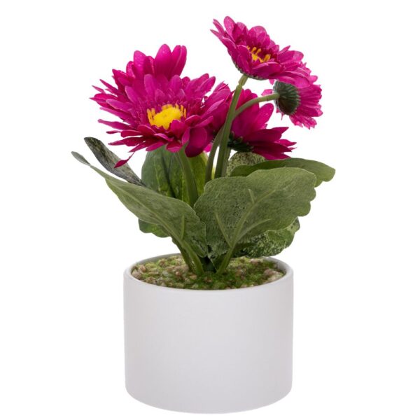 ΦΟΥΞΙΑ ΖΕΡΜΠΕΡΑ ΣΕ ΛΕΥΚΟ ΚΕΡΑΜΙΚΟ ΓΛΑΣΤΡΑΚΙ 20ΕΚ