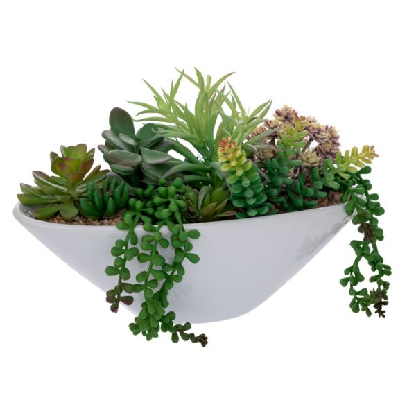 ΠΑΧΥΦΥΤΟ ΣΕ ΑΣΠΡΟ ΚΕΡΑΜΙΚΟ ΓΛΑΣΤΡΑΚΙ 20