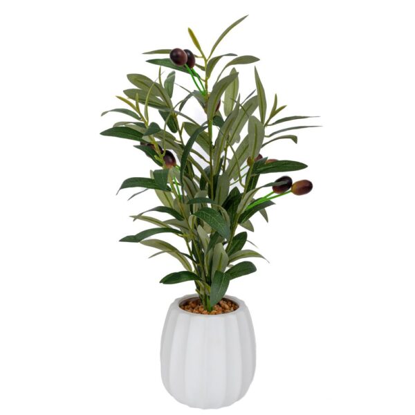 ΕΛΙΑ 42ΕΚ ΣΕ ΚΕΡΑΜΙΚΟ ΚΑΣΠΩ Φ11Χ11ΕΚ