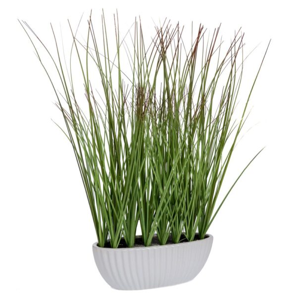 ΓΡΑΣΙΔΙ 47ΕΚ ΣΕ ΚΕΡΑΜΙΚΟ ΛΕΥΚΟ ΚΑΣΠΩ Φ25Χ8