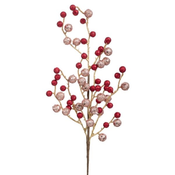 ΚΛΑΔΙ ΜΕ ΣΑΜΠΑΝΙ ΚΑΙ ΣΚ.ΚΟΚΚΙΝΑ BERRIES 53ΕΚ