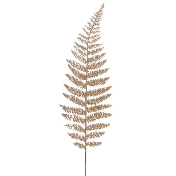 ΣΑΜΠΑΝΙ ΚΛΑΔΙ ΦΤΕΡΗ 56ΕΚ