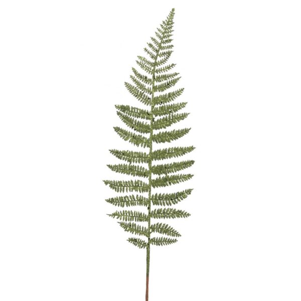 ΠΡΑΣΙΝΟ ΚΛΑΔΙ ΦΤΕΡΗ 56ΕΚ