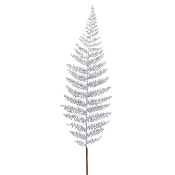 ΑΣΗΜΙ ΚΛΑΔΙ ΦΤΕΡΗ 56ΕΚ