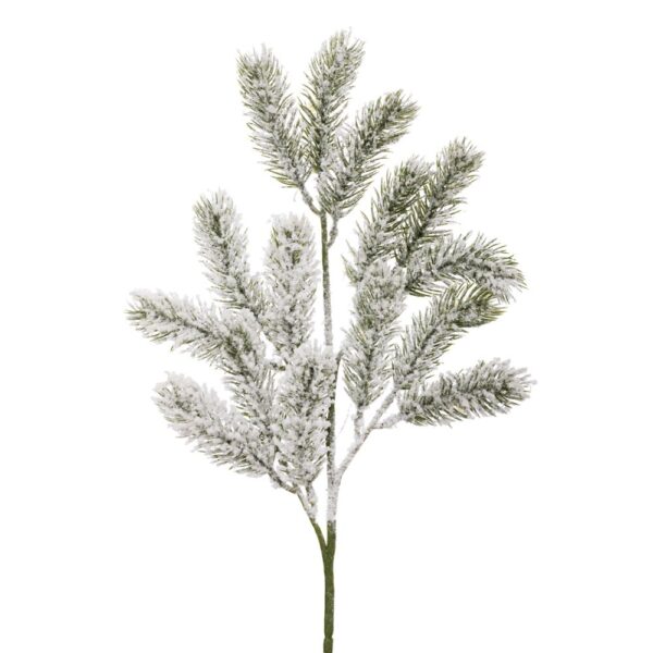 ΧΙΟΝΙΣΜΕΝΟ ΚΛΑΔΙ 49ΕΚ