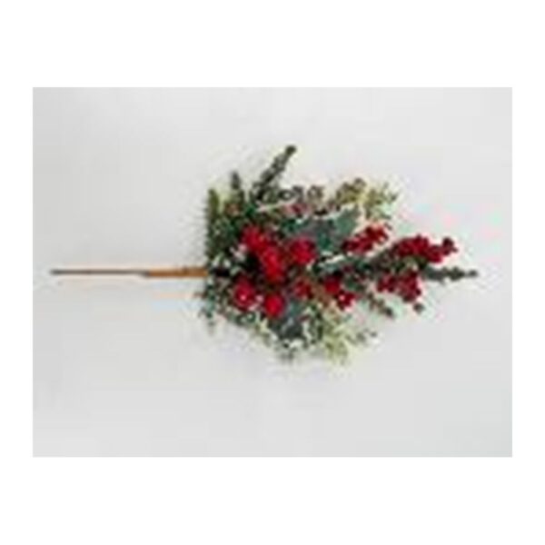 ΠΡΑΣΙΝΟ ΚΛΑΔΙ ΜΕ MIX BERRIES Φ46ΕΚ