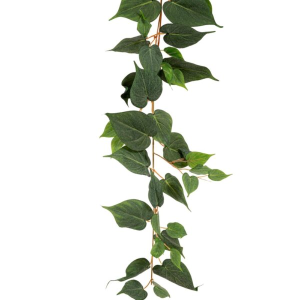 ΓΙΡΛΑΝΤΑ ΠΟΘΟΣ COATED 180ΕΚ