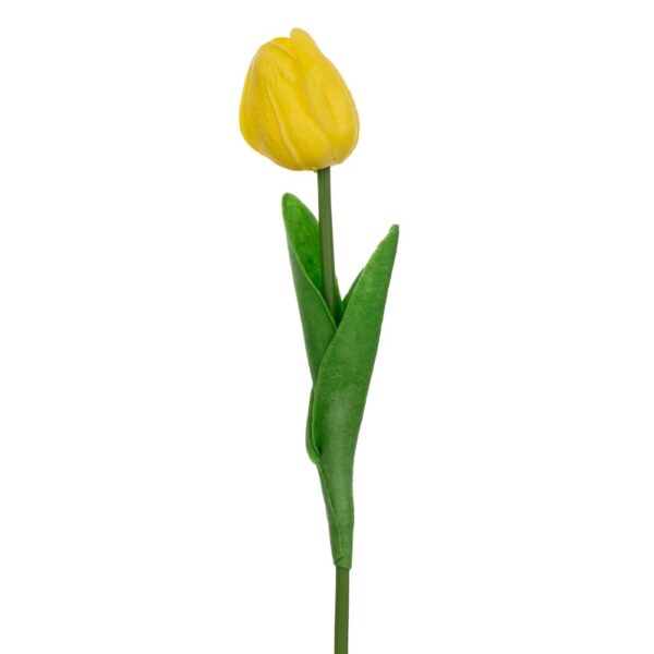 ΚΙΤΡΙΝΟ ΚΛΑΔΙ ΤΟΥΛΙΠΑ 33ΕΚ