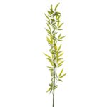 ΠΡΑΣΙΝΟ ΚΛΑΔΙ BAMBOO ΓΙΓΑΣ 1