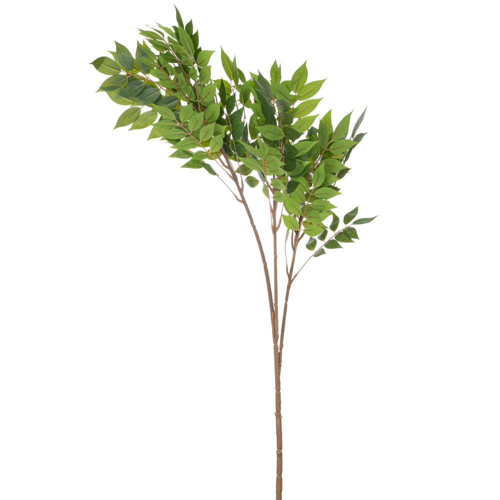 ΠΡΑΣΙΝΟ ΚΛΑΔΙ ΑΚΑΚΙΑ ΓΙΓΑΣ 135ΕΚ ΠΡΑΣΙΝΟ ΚΛΑΔΙ ΑΚΑΚΙΑ ΓΙΓΑΣ 135ΕΚ