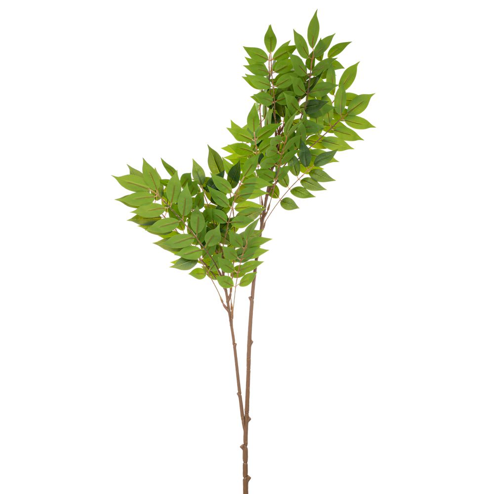 ΠΡΑΣΙΝΟ ΚΛΑΔΙ ΑΚΑΚΙΑ ΓΙΓΑΣ 105ΕΚ ΠΡΑΣΙΝΟ ΚΛΑΔΙ ΑΚΑΚΙΑ ΓΙΓΑΣ 105ΕΚ