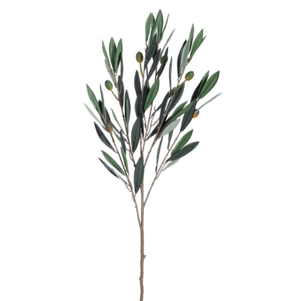 ΚΛΑΔΙ ΕΛΙΑΣ 75ΕΚ UV ΠΡΟΣΤΑΣΙΑ ΚΑΙ FIRE PROTECTION (ΒΡΑΔΥΚΑΥΣΤΟ)