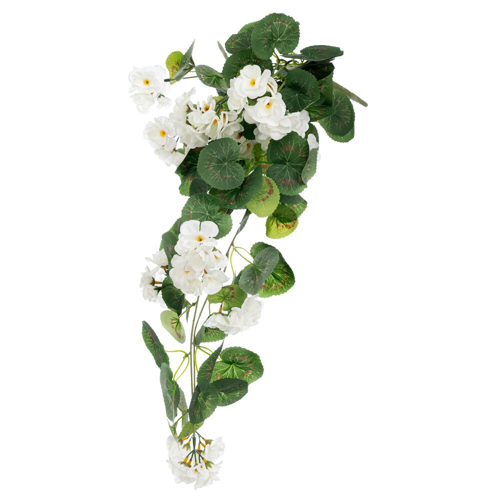 ΡΙΖΑ ΜΟΛΟΧΑ ΚΡΕΜΑΣΤΗ ΛΕΥΚΗ 62ΕΚ Χ11 ΡΙΖΑ ΜΟΛΟΧΑ ΚΡΕΜΑΣΤΗ ΛΕΥΚΗ 62ΕΚ Χ11