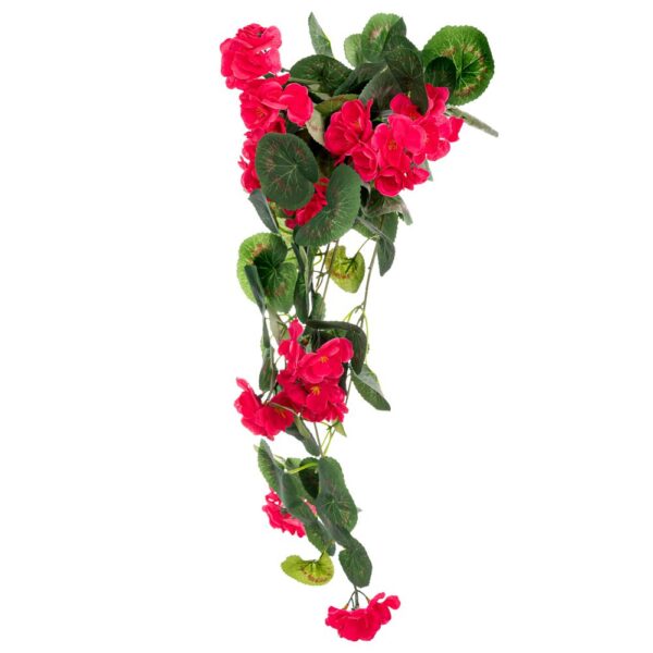 ΡΙΖΑ ΜΟΛΟΧΑ ΚΡΕΜΑΣΤΗ ΦΟΥΞΙΑ 62ΕΚ Χ11