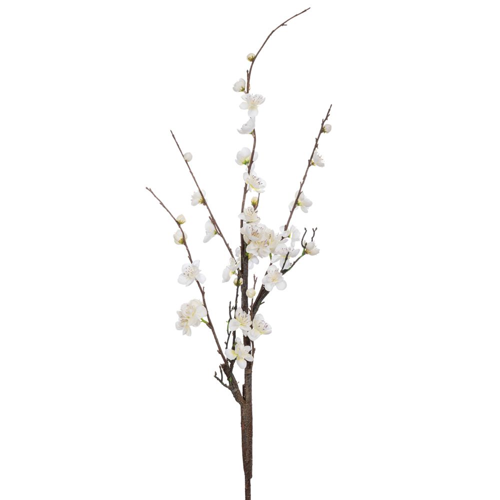 ΑΜΥΓΔΑΛΙΑ ΛΕΥΚΗ 120ΕΚ ΑΜΥΓΔΑΛΙΑ ΛΕΥΚΗ 120ΕΚ