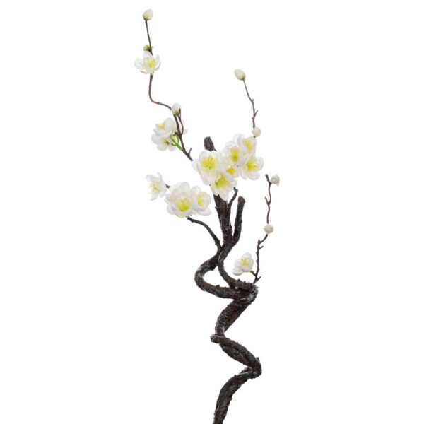 ΑΜΥΓΔΑΛΙΑ ΛΕΥΚΗ 40ΕΚ